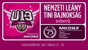 tinilogofehervar2017